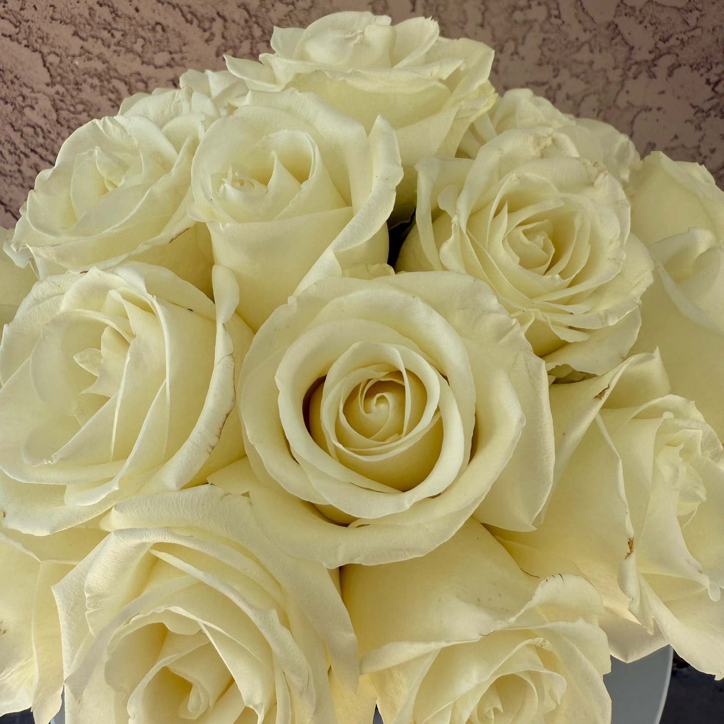 Bouquet of white roses against a textured brown background
