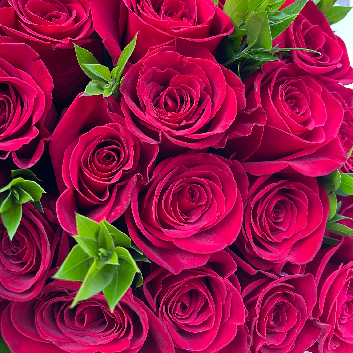 Love & Anniversary