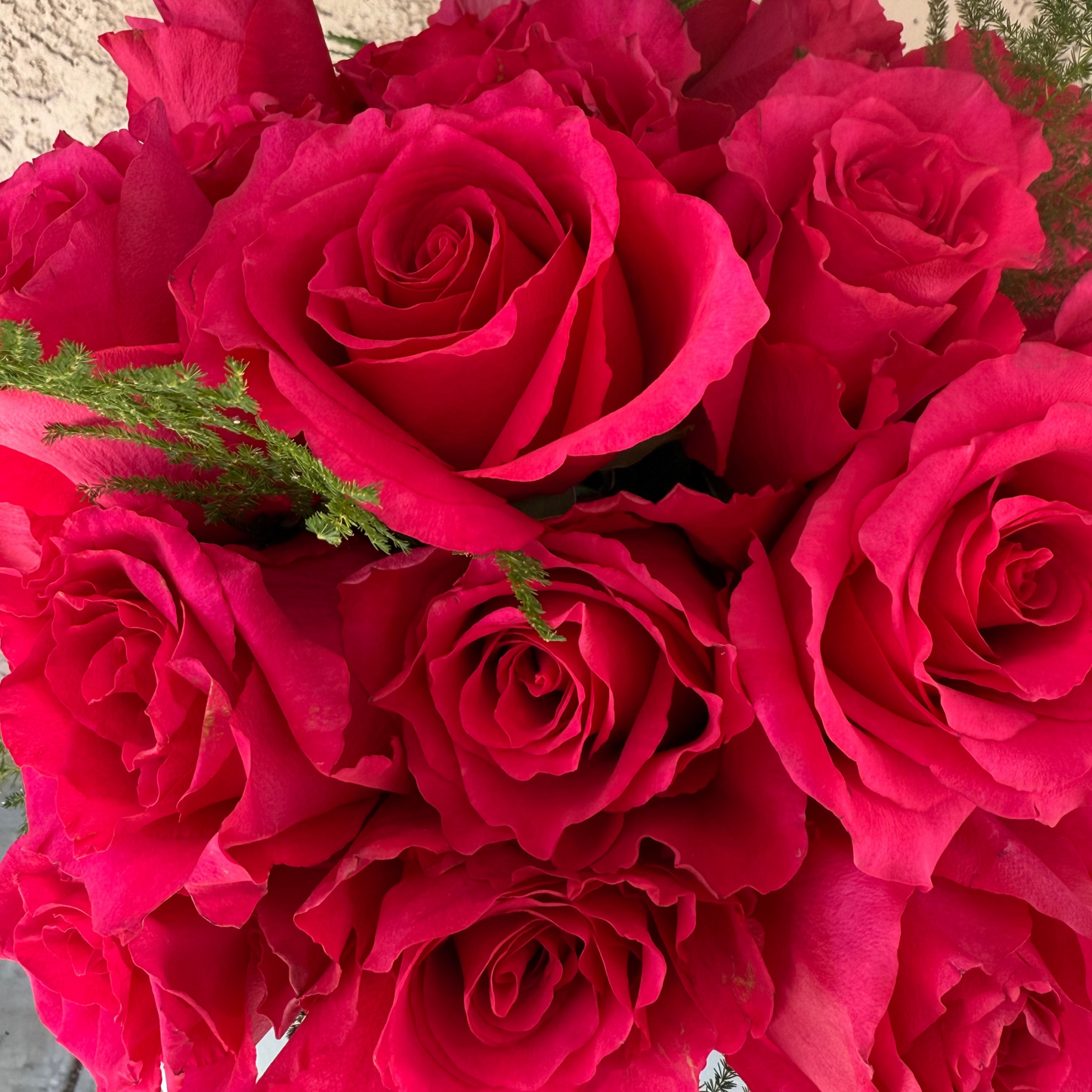 Bouquet of bright red roses with green leaves against a neutral background