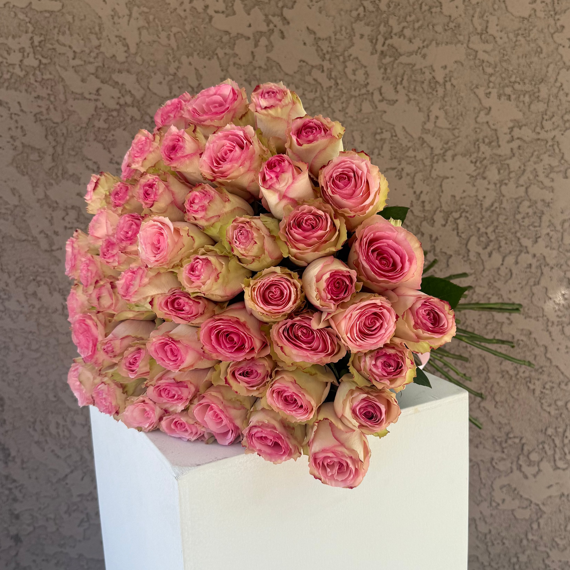Bouquet of pink roses in a white vase against a textured wall.
