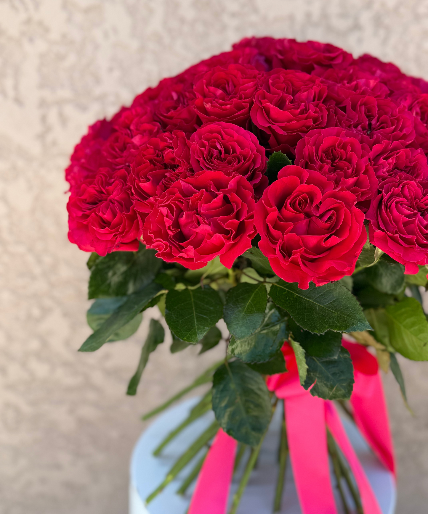 Bouquet of red roses with green leaves and pink ribbons against a neutral background