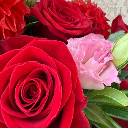 Bouquet of red and pink roses with green leaves on a textured wall background
